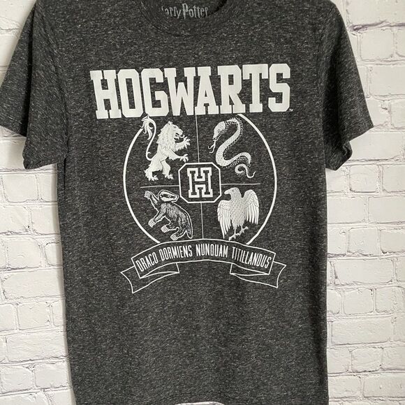 Harry Potter Hogwarts Gray T Shirt Men’s Size S - Picture 1 of 4